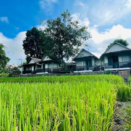 Krathom Doi Luang Hotel Chiang Dao Ngoại thất bức ảnh
