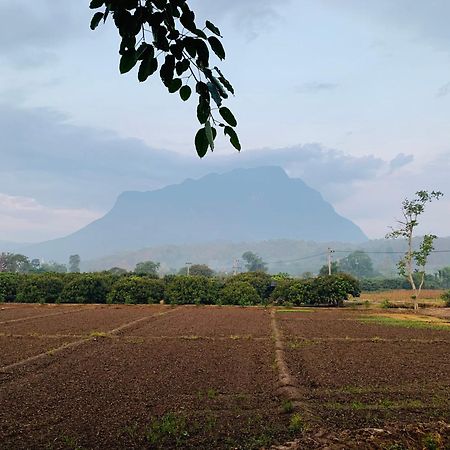 Krathom Doi Luang Hotel Chiang Dao Ngoại thất bức ảnh