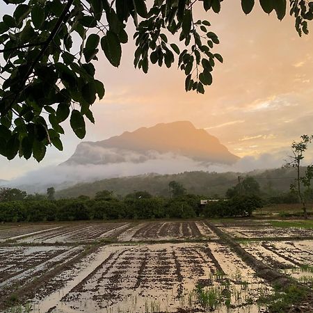 Krathom Doi Luang Hotel Chiang Dao Ngoại thất bức ảnh
