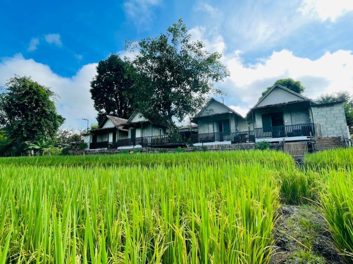 Krathom Doi Luang Hotel Chiang Dao Ngoại thất bức ảnh