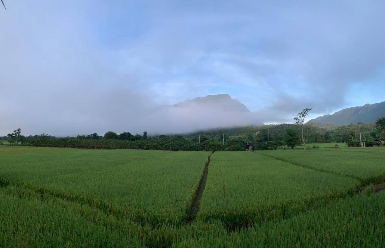 Krathom Doi Luang Hotel Chiang Dao Ngoại thất bức ảnh