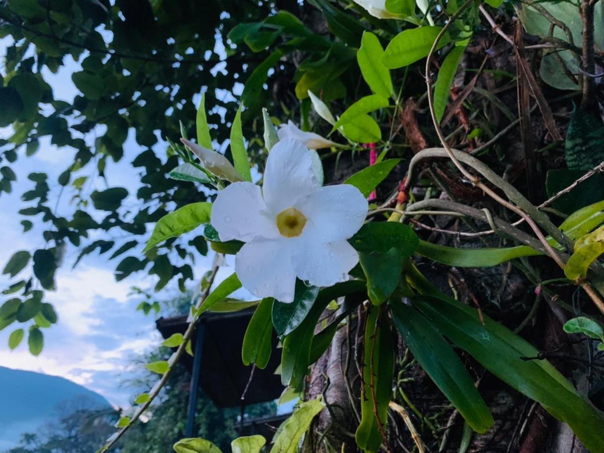 Krathom Doi Luang Hotel Chiang Dao Ngoại thất bức ảnh