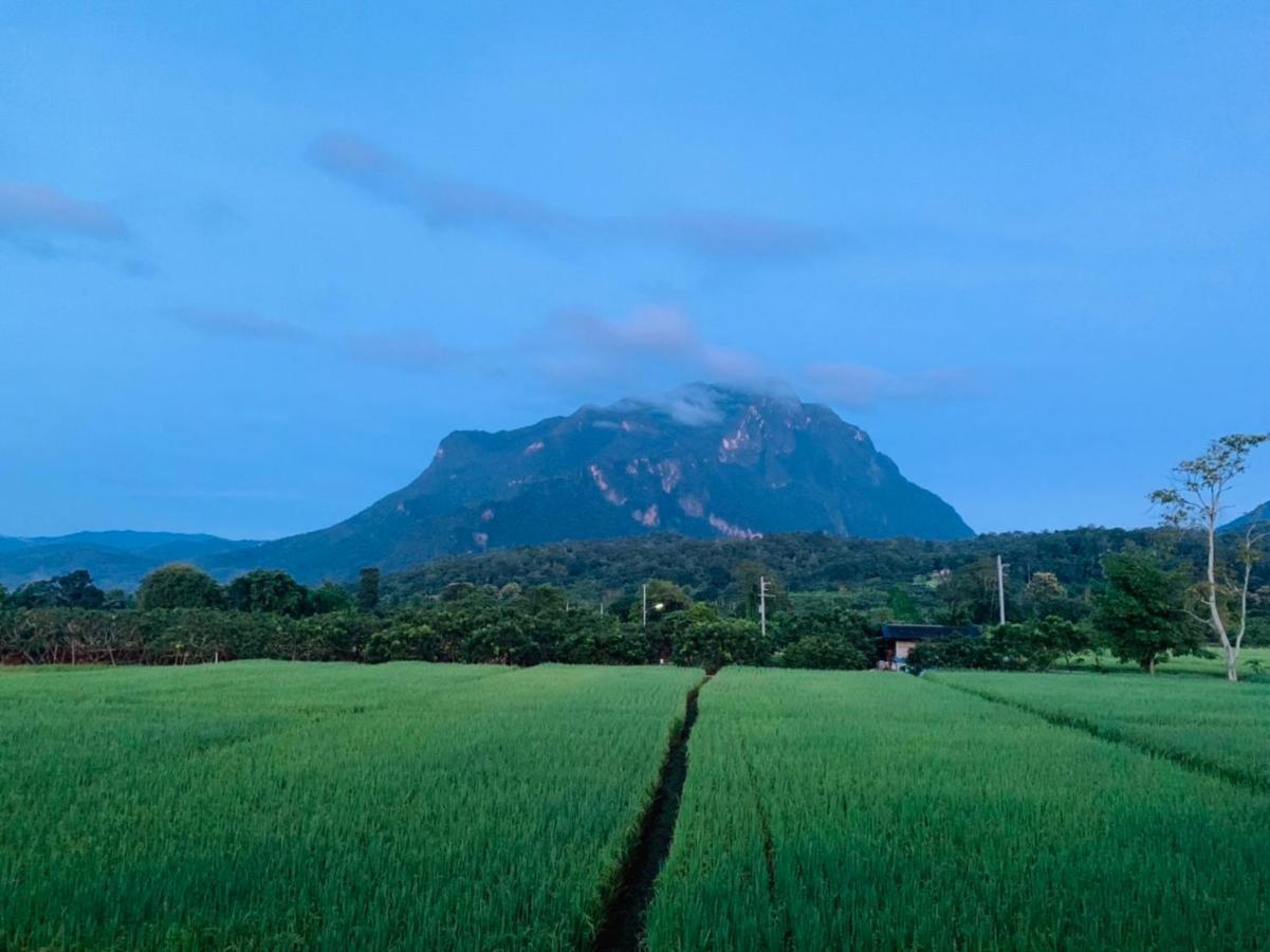 Krathom Doi Luang Hotel Chiang Dao Ngoại thất bức ảnh